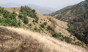 Real Estate Brokers in Chandigarh