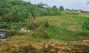 Realtors in Chandigarh