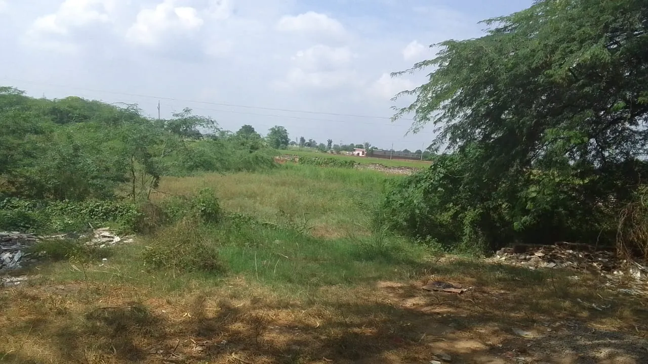 Land for sale in Haryana - photo 1