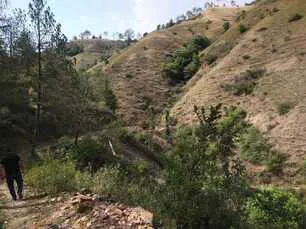 Land for sale in Himachal Pradesh - photo 10