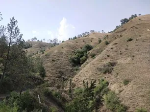 Land for sale in Himachal Pradesh - photo 11
