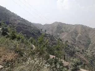 Land for sale in Himachal Pradesh - photo 12