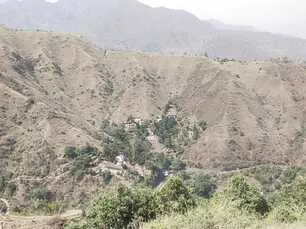 Land for sale in Himachal Pradesh - photo 13
