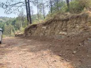 Land for sale in Himachal Pradesh - photo 15