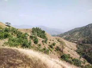 Land for sale in Himachal Pradesh - photo 2