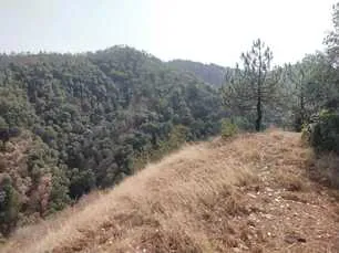 Land for sale in Himachal Pradesh - photo 3