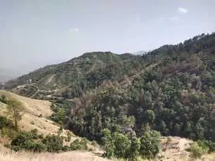 Land for sale in Himachal Pradesh - photo 4