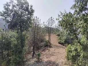 Land for sale in Himachal Pradesh - photo 5