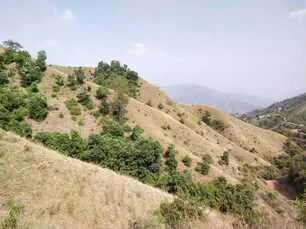 Land for sale in Himachal Pradesh - photo 6