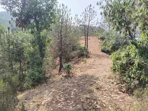 Land for sale in Himachal Pradesh - photo 7