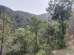 Land for sale in Himachal Pradesh - photo 8