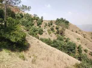 Land for sale in Himachal Pradesh - photo 9