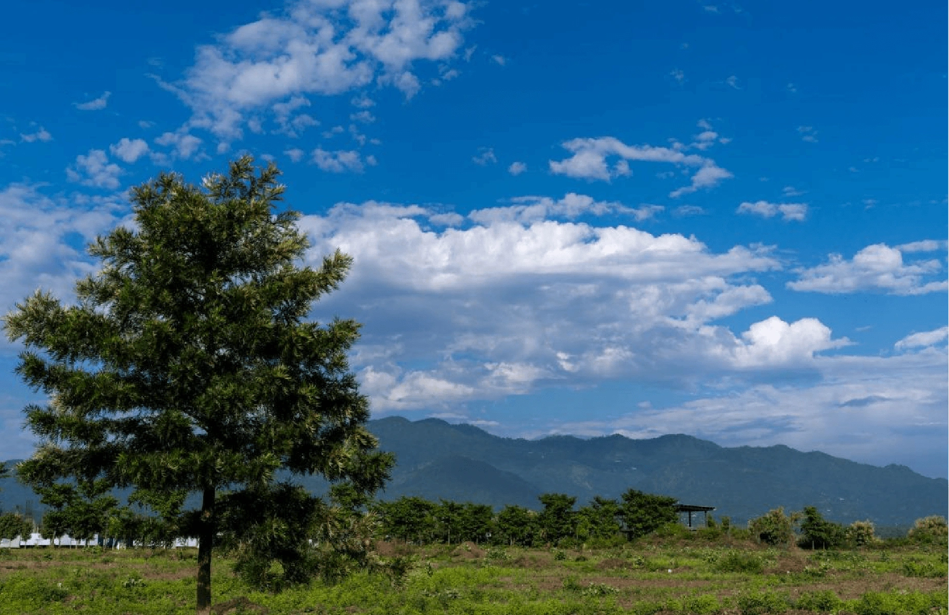 trident-hills-panchkula
